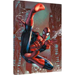 Obraz na plátně Spider-Man - Web Sling, (60 x 80 cm)