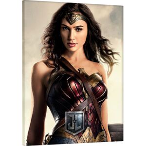 Obraz na plátně Liga spravedlivých - Wonder Woman, (60 x 80 cm)
