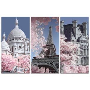 Obraz na plátně David Clapp - Paris Infrared Series, (100 x 150 cm)
