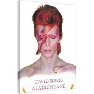 Obraz na plátně David Bowie - Aladdin Sane, (60 x 80 cm)