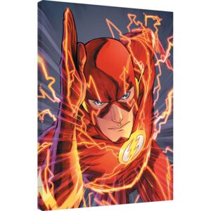 Obraz na plátně The Flash, (60 x 80 cm)