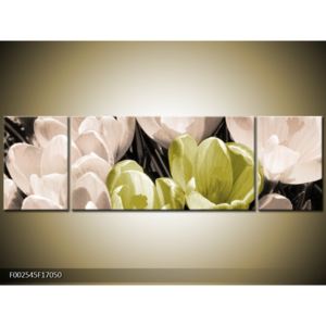 Obraz rozkvetlých tulipánů - žlutá bílá (F002545F17050)