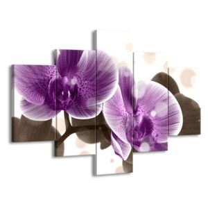Vícedílný obraz Fialková orchidej 100x70 cm