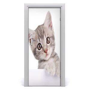 Samolepící fototapeta na dveře Šedá kočka