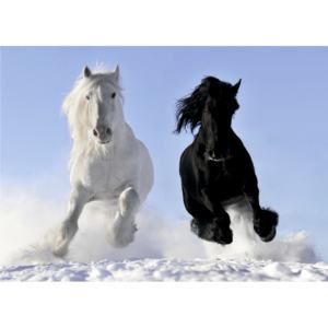 AG Design 1 dílná fototapeta HORSES BLACK AND WHITE FTM0885, 160 x 115 cm papír rozměr: 160 x 115, materiál: papír
