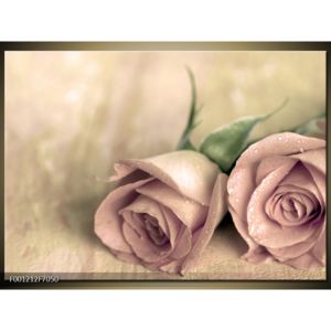 Obraz jemných růží (70x50 cm)
