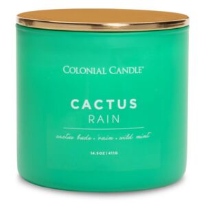 Cactus Rain 411g
