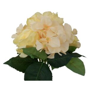 Kytice růže s hortenzií I