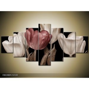 Obraz tulipánů - červená černobílá (F002480F210100)