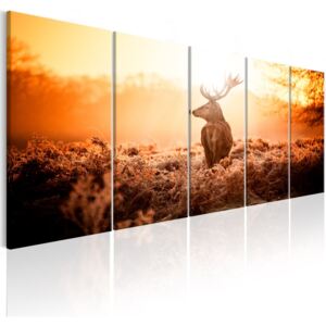 Obraz na plátně Bimago - Deer at Sunset 200x80 cm