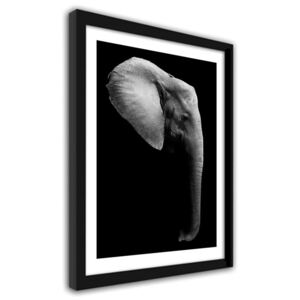CARO Obraz v rámu - Elephant In Black And White 40x50 cm Černá