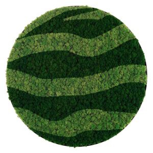 Mechový obraz kulatý kombinace zelené - různé velikosti, barvy rámu, Rozměr: 30 cm, Barva tenkého rámu: bílá