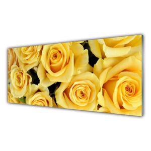 E-shop24, 100 x 50 cm, 1S - 42860315, Obraz na skle - Růže žluté 100 x 50 cm