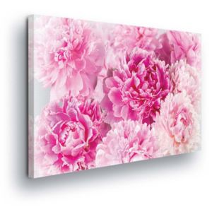 Obraz na plátně - Růžové Květy Karafiátů 100x75 cm