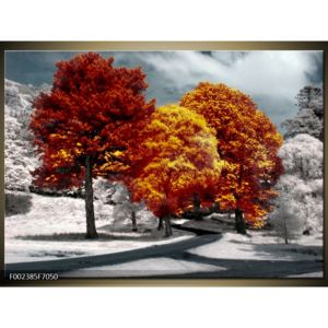 Obraz tří oranžově zbarvených stromů (F002385F7050)