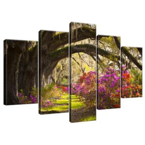 Obraz na plátně Silné duby a květiny 100x63cm 1480A_5D