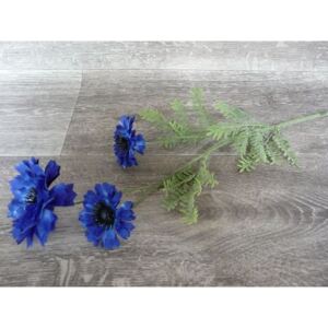 Chrpa modrá - 3 květy