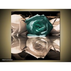 Obraz tyrkysové růže v obrazu (F002513F3030)