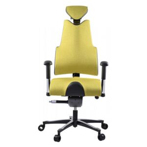 Zdravotní židle THERAPIA BODY+ –⁠ na míru, více barev HX/KX LIME