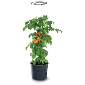 Květináč na pěstování rajčat TOMATO GROWER antracit 29,5cm