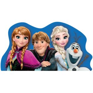 TOP Tvarovaný polštářek Frozen family