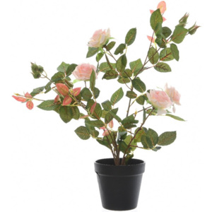 Kaemingk Růžový keř v květináči, růžový, 50 cm