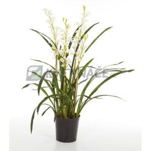 Umělá Orchidej Cymbidium bílá 95cm - Do interiéru