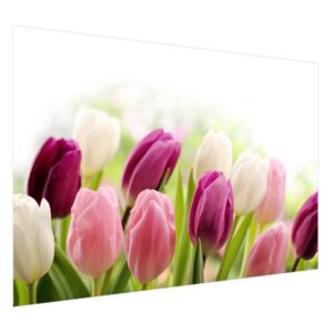 Samolepící fólie Barevné jemné tulipány 200x135cm OK2125A_1AL