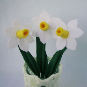 Narcis bílý - žlutý střed