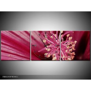 Obraz růžové květiny (F001193F9030CC)