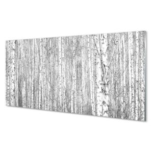 Skleněný panel Skleněný panel Černá a bílá strom les 125x50cm