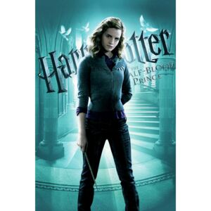 Umělecký tisk Harry Potter - Half blood prince