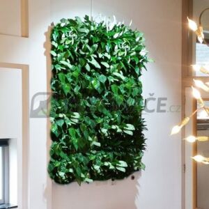 Živá zelená stěna základní set 50x75cm