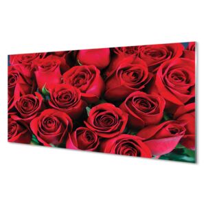 Skleněný panel Skleněný panel Růže 100x50cm