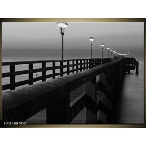Černobílý obraz mostu (F001738F7050)