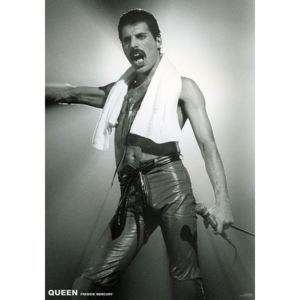 Plakát, Obraz - Queen (Freddie Mercury) - Live On Stage, (59,4 x 84 cm)