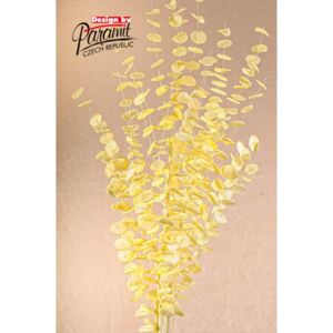 Paramit Aranžovací květina 105 cm žlutá