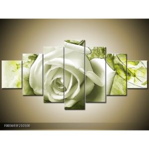 Obraz bílé růže na zeleném pozadí (F003693F210100)