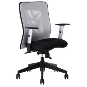 Ergonomická kancelářská židle na kolečkách Alba LEXA - s područkami
