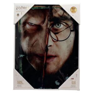 SD Toys Skleněný plakát Harry Potter - Harry a Voldemort