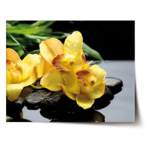 Plakát SABLO - Žluté orchideje 90x60 cm