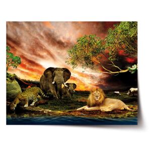 Plakát SABLO - Zvířata ze Sahary 60x40 cm