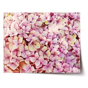 Plakát SABLO - Růžové květy 60x40 cm