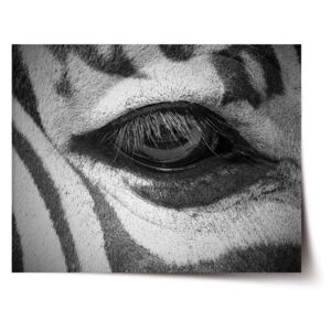 Plakát SABLO - Oko zebry 120x80 cm