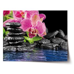 Plakát SABLO - Orchidej na kamenech 60x40 cm
