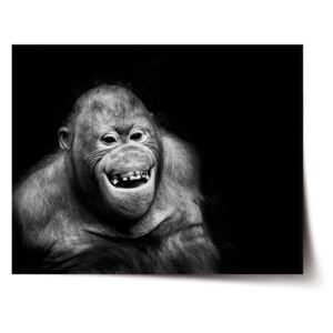 Plakát SABLO - Orangutan 120x80 cm