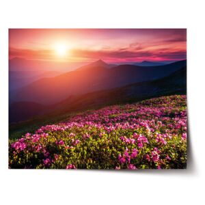 Plakát SABLO - Rozkvetlá příroda 90x60 cm