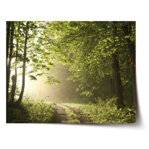 Plakát SABLO - Lesní cesta 60x40 cm