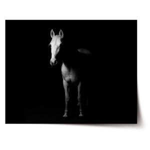 Plakát SABLO - Kůň ve stínu 60x40 cm