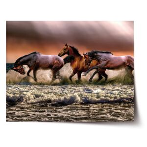Plakát SABLO - Koně ve vodě 60x40 cm